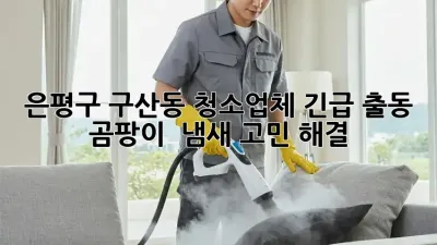 🏡 은평구 구산동 청소업체 긴급 출동! 곰팡이 & 냄새 고민 해결